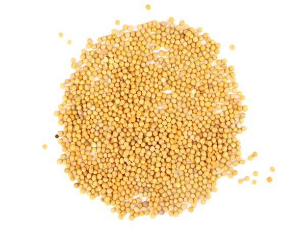Mustard seeds
