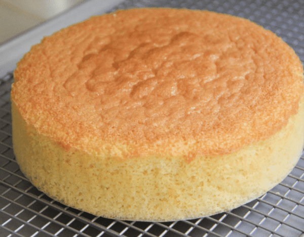 Sponge Mix Plain